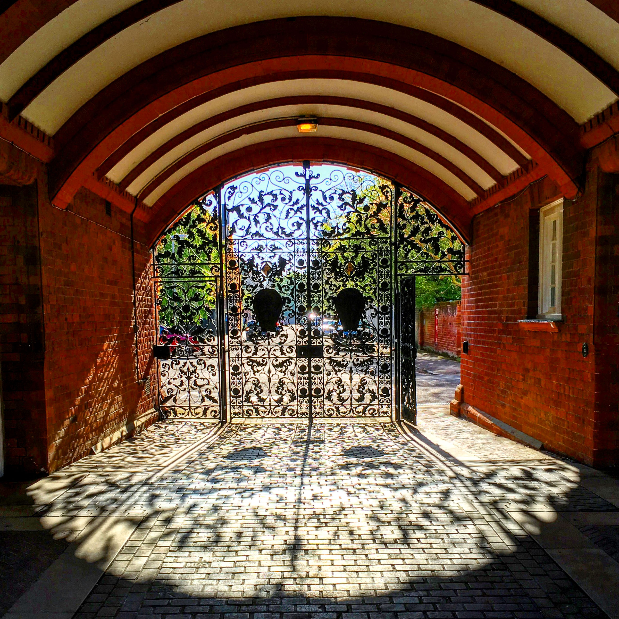 Picture of sunshine streaming through Piele Gates