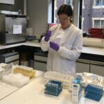 A woman at work in a laboratory