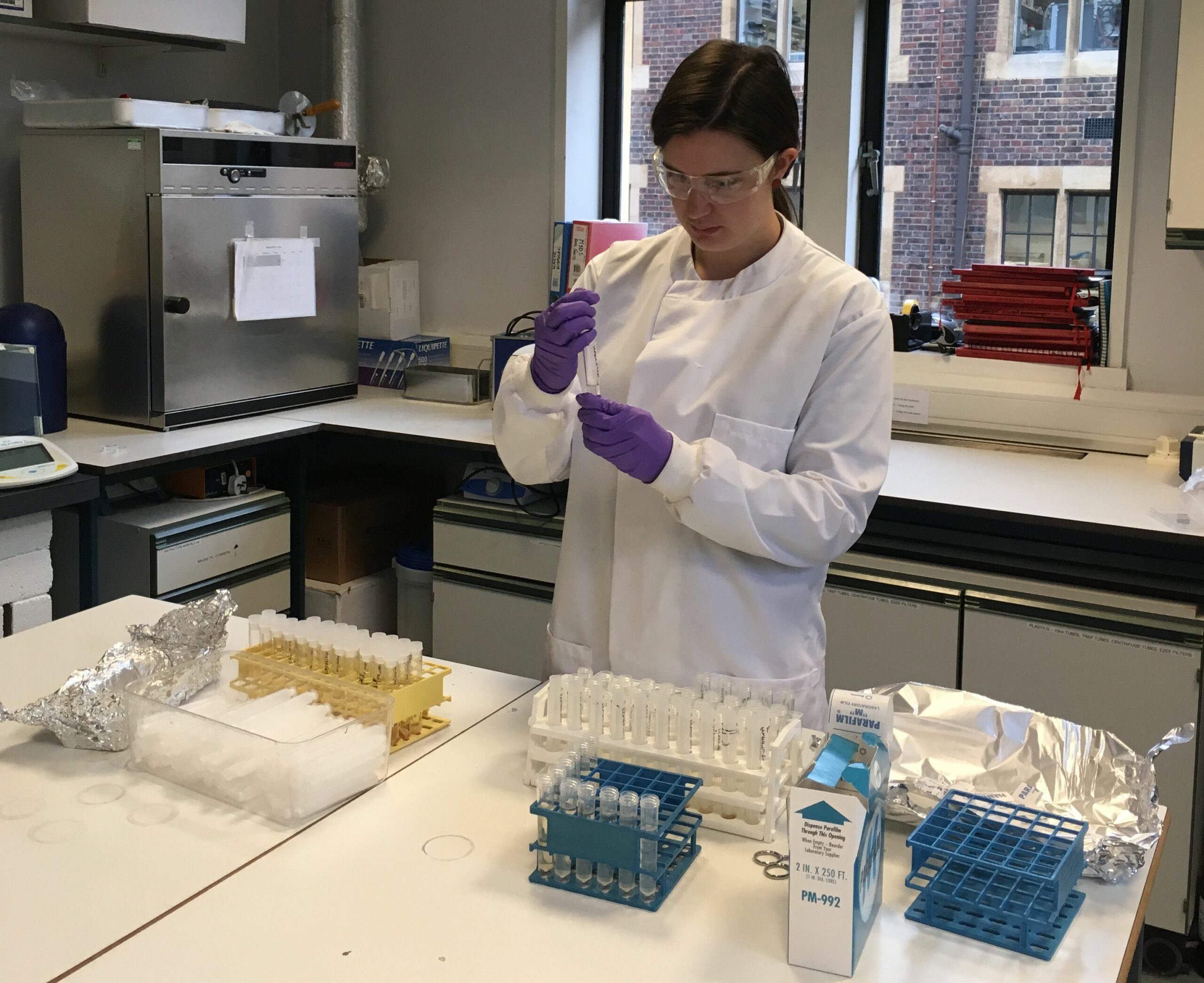 A woman at work in a laboratory